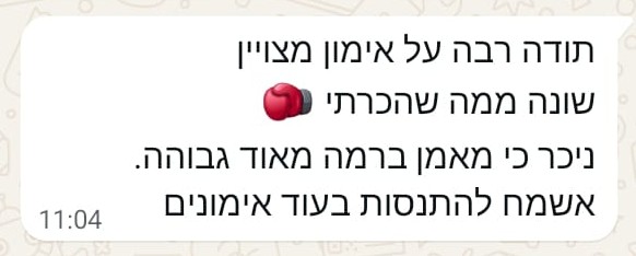 המלצה 4
