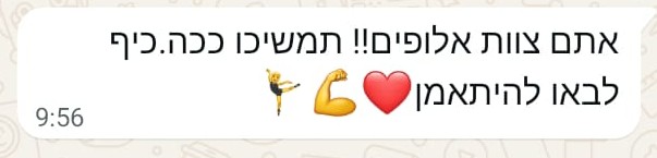 המלצה 6
